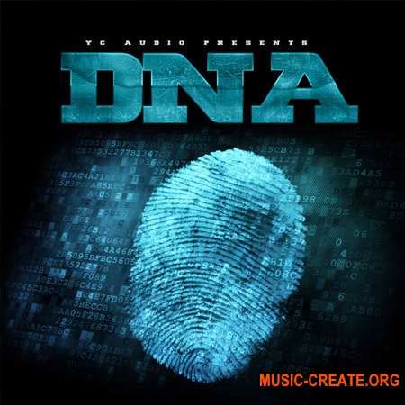 YC Audio DNA