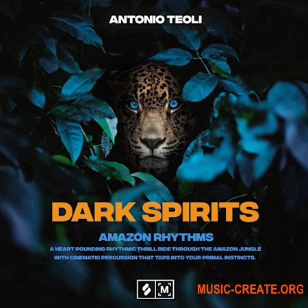 Montage by Splice Dark Spirits: Amazon Rhythms