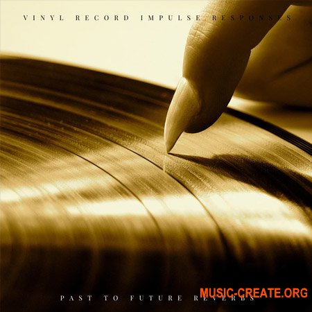 PastToFutureReverbs Real Vinyl Record