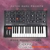 LFO Store Moog Grandmother Explorer (50 Patches by Anton Anru) LFO Store Moog Grandmother Explorer (50 Patches by Anton Anru)