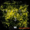 Big Citi Loops Trapsoul Elite 3 (WAV, MiDi)