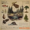Field and Foley Alaskan Wilderness (WAV) Field and Foley Alaskan Wilderness (WAV)
