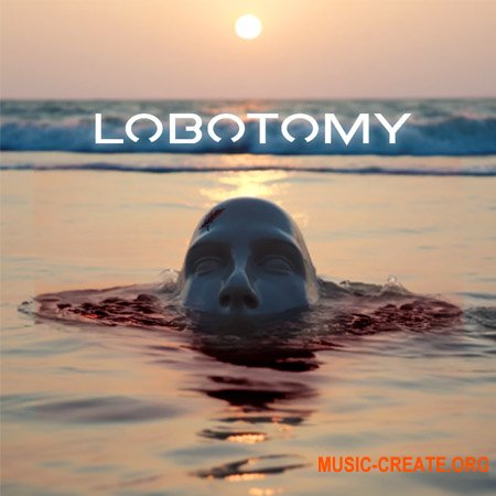 VGNs Components of a Lobotomy
