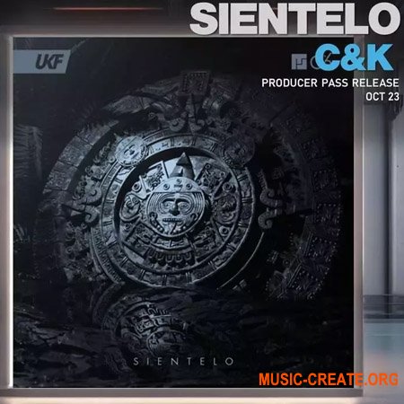 Surgical Sounds Sientelo Recreation Kit
