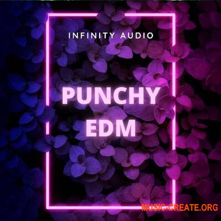 Infinity Audio Punchy EDM