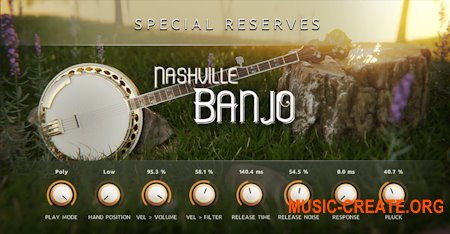Impact Soundworks Special Reserves - Nashville Banjo