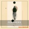 Zenhiser Feathers - Organic House (WAV)