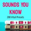 Eric Bowman Sounds You Know for VITAL (Vital presets) Eric Bowman Sounds You Know for VITAL (Vital presets)
