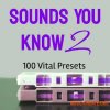 Eric Bowman Sounds You Know Volume 2 for VITAL (Vital presets) Eric Bowman Sounds You Know Volume 2 for VITAL (Vital presets)