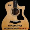 PastToFutureReverbs Taylor 314ce Acoustic Guitar Impulse Responses! Impulse Responses IRs (WAV) PastToFutureReverbs Taylor 314ce Acoustic Guitar Impulse Responses! Impulse Responses IRs (WAV)