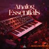SYNTH PALACE ANALOG ESSENTIALS (WAV) SYNTH PALACE ANALOG ESSENTIALS (WAV)
