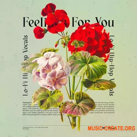 Renraku Feelings For You - Lofi Vocals (WAV) Renraku Feelings For You - Lofi Vocals (WAV)