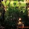 VOX Vocal Botanica - Michael Bruner (WAV) VOX Vocal Botanica - Michael Bruner (WAV)