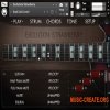 Orange Tree Samples Evolution Strawberry v1.3.0 (KONTAKT) Orange Tree Samples Evolution Strawberry v1.3.0 (KONTAKT)