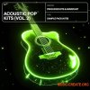 Producer Assistant Acoustic Pop Kits Vol.2 (WAV MiDi)