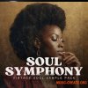 Audioelixir.inc Soul Symphony - Vintage Soul Sample Pack (WAV MiDi) Audioelixir.inc Soul Symphony - Vintage Soul Sample Pack (WAV MiDi)