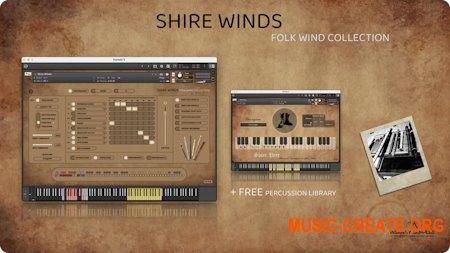 Insanity Samples Shire Winds v1.5.0