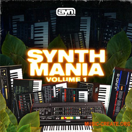 AYN Sounds Synth Mania Vol.1 (WAV)