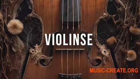 Steinberg Violinse for Padshop 2
