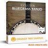 Orange Tree Samples Evolution Bluegrass Banjo v1.3.0 (KONTAKT)