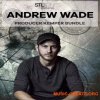 STL Tones Andrew Wade Producer Kemper Bundle Kemper Profiles (KiPR)