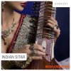 Concept Samples Indian Sitar (WAV)