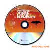 Catch The Rhythm ECHOES: Afro and Tribal House Elements (WAV)
