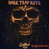 Certified Audio Dark Trap Keys 2 (WAV) Certified Audio Dark Trap Keys 2 (WAV)