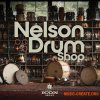 Drum Sample Shop Nelson Drum Shop DELUXE (One-Shots Only) (WAV) Drum Sample Shop Nelson Drum Shop DELUXE (One-Shots Only) (WAV)