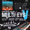 KEYON MultiKeys (V ANALOG LAB BANK)
