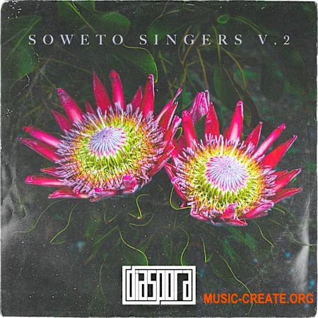 Diaspora Soweto Singers Vol.2 (WAV)