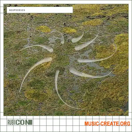 Rubicon Biopoiesis