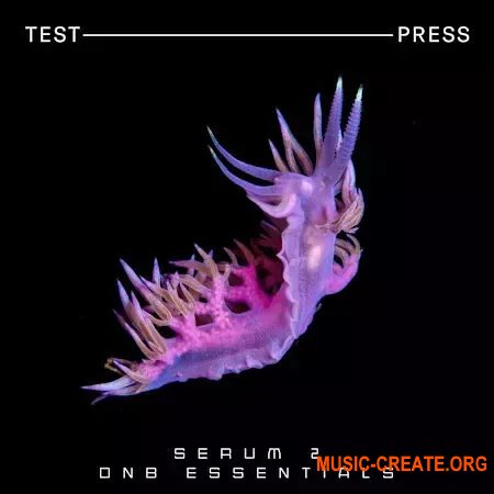 Test Press Serum 2 DnB Essentials