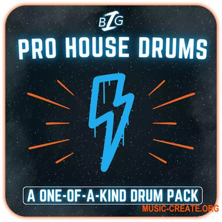 Big Z Sounds Big Z's Pro House Drums