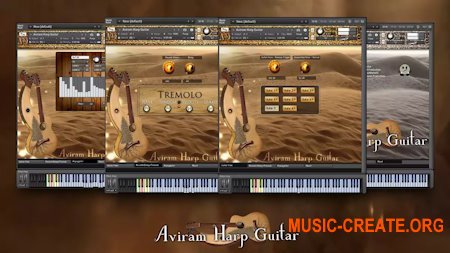 Aviram Dayan Production Aviram Harp Guitar