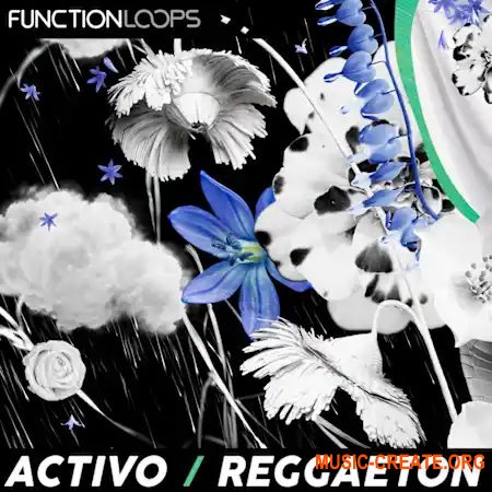 Function Loops ACTIVO - Reggaeton