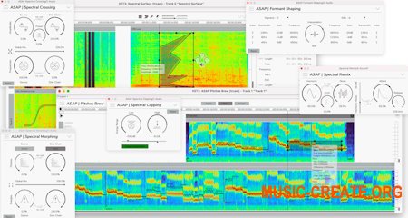 Ircam Lab ASAP v2.0.0
