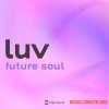 Origin Sound luv - future soul (WAV) Origin Sound luv - future soul (WAV)