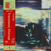 Noise Honey Transient; Eternal (WAV) Noise Honey Transient; Eternal (WAV)