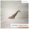 Concept Samples Fantasy Downtempo (WAV) Concept Samples Fantasy Downtempo (WAV)