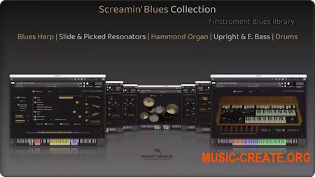 Insanity Samples Screamin' Blues Collection v1.0.1