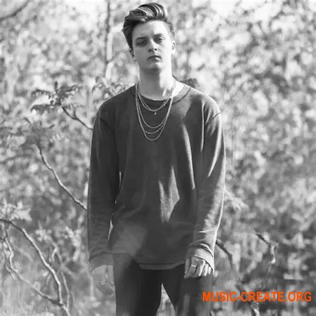 Aaron Shirk Serum 2 Presets Vol.1