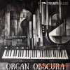 Triumph Audio Organ Obscura (KONTAKT)