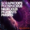 Black Octopus Sound ScrapKodes Phosphorus Neurodub (Pigments Presets)