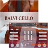 David Forner Balvi Cello (KONTAKT) David Forner Balvi Cello (KONTAKT)