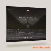Kompose Audio Blackspire (Soundbox bank)