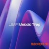 Native Instruments Leap Melodic Trap v1.0.0 (KONTAKT) Native Instruments Leap Melodic Trap v1.0.0 (KONTAKT)