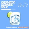 Drumatic Shop Drumatic Sounds Vol.2 (WAV, Serum presets)