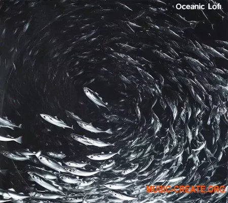 Touch Loops Oceanic LoFi