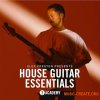 Toolroom Alex Preston Presents House Guitar Essentials (WAV)